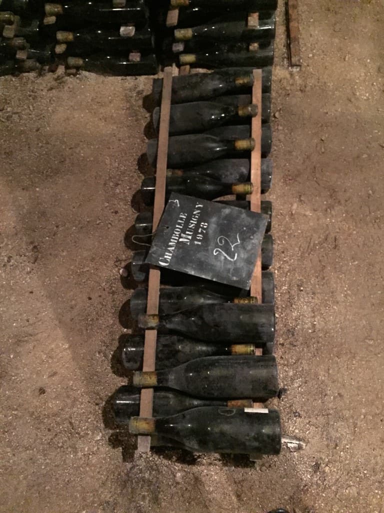 Dusty bottles on wooden racks marked Chambolle-Musigny 1978