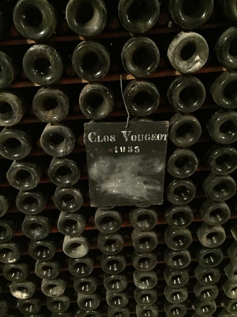 Dense cellar wall of bottle ends with a Clos Vougeot 1955 tag